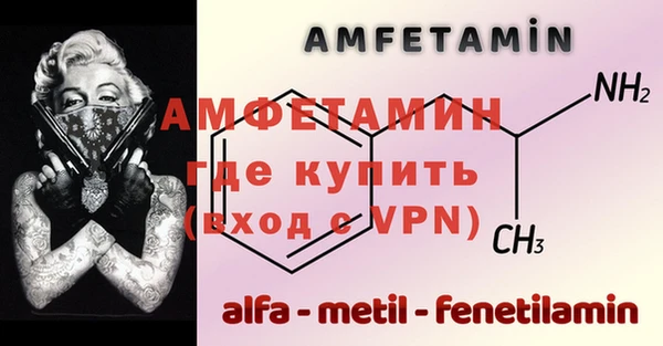 крисы Коряжма