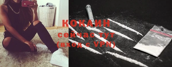 дмт Александровское