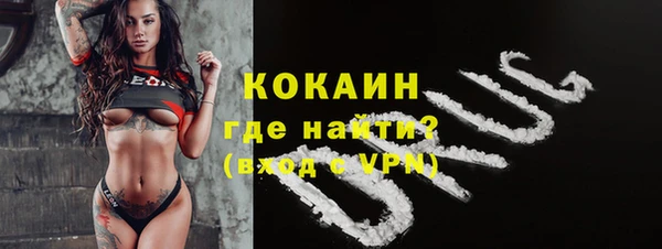 спиды Калининец