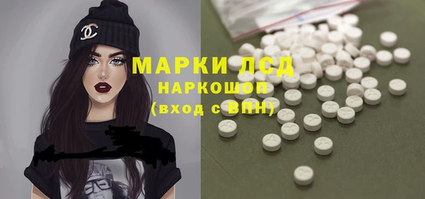 крисы Коряжма