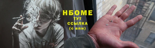 крисы Коряжма