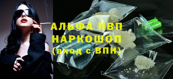 крисы Коряжма