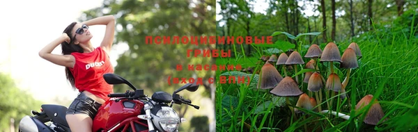 MDMA Костерёво