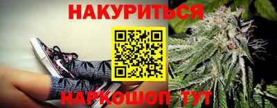 крисы Будённовск