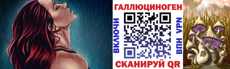 гидра tor  Улан-Удэ  Псилоцибиновые грибы MAGIC MUSHROOMS 