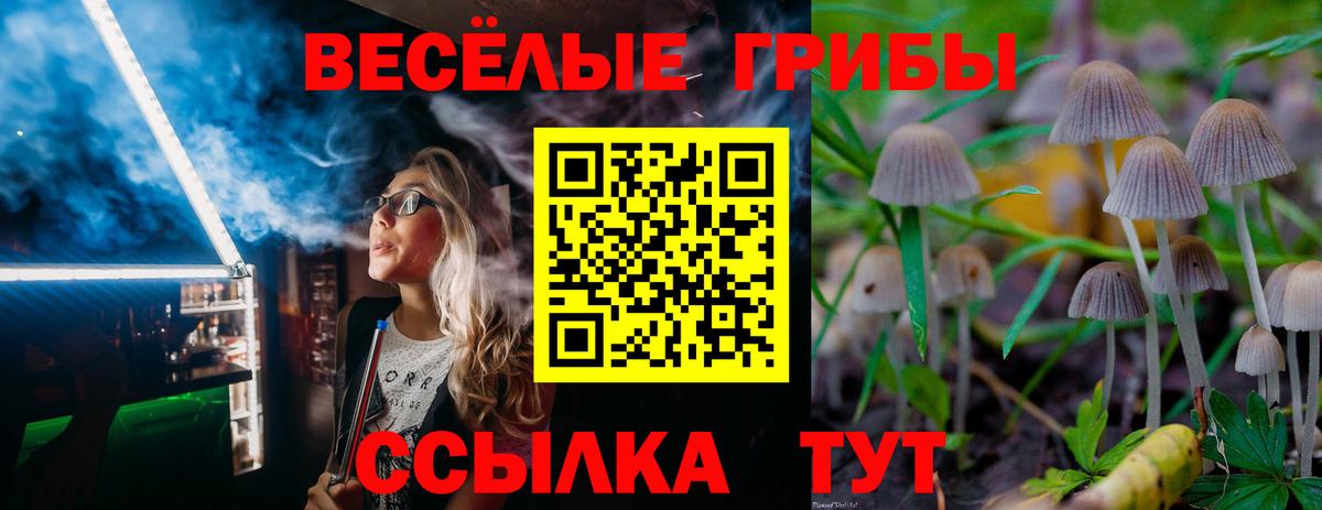 Галлюциногенные грибы Psilocybine cubensis  Вход с VPN  Улан-Удэ 